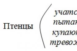 Личные и безличные значения форм третьего лица единственного числа